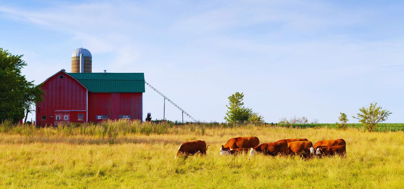 Harvesting Sunlight: How Farmers Can Boost Efficiency with Solar Panels