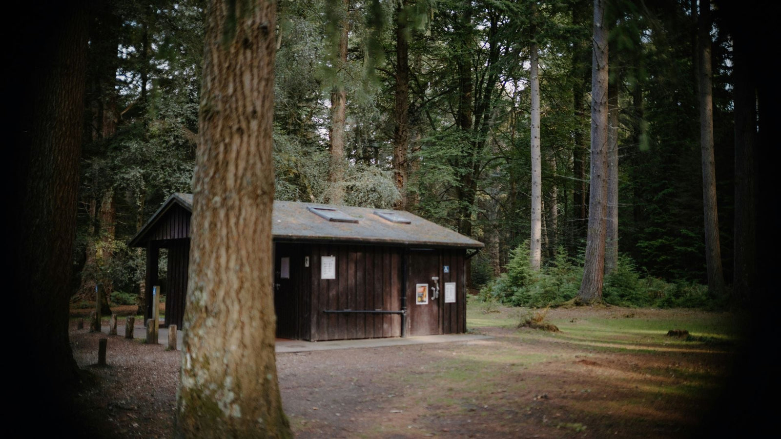 Best Pure Sine Wave Inverter for Your Cabin This Fall